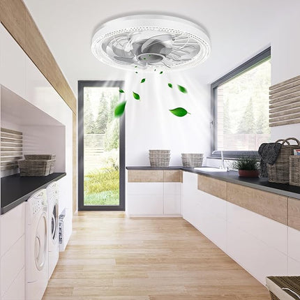 Ceiling Fan Light