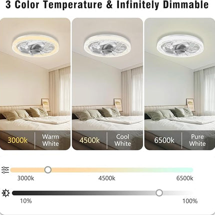 Ceiling Fan Light